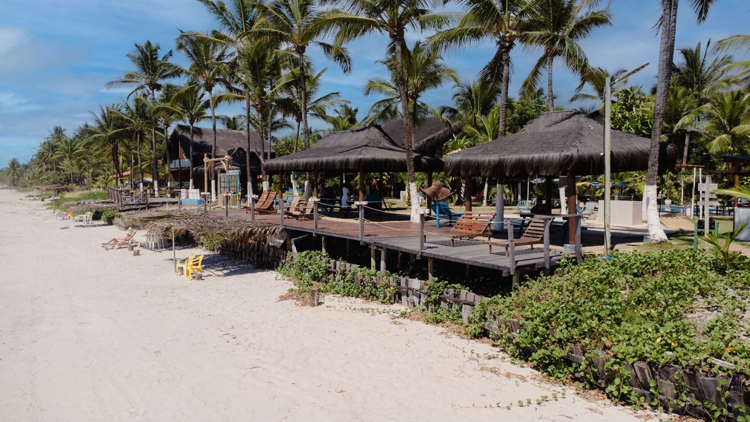 Uma praia com muitas palmeiras e cabanas