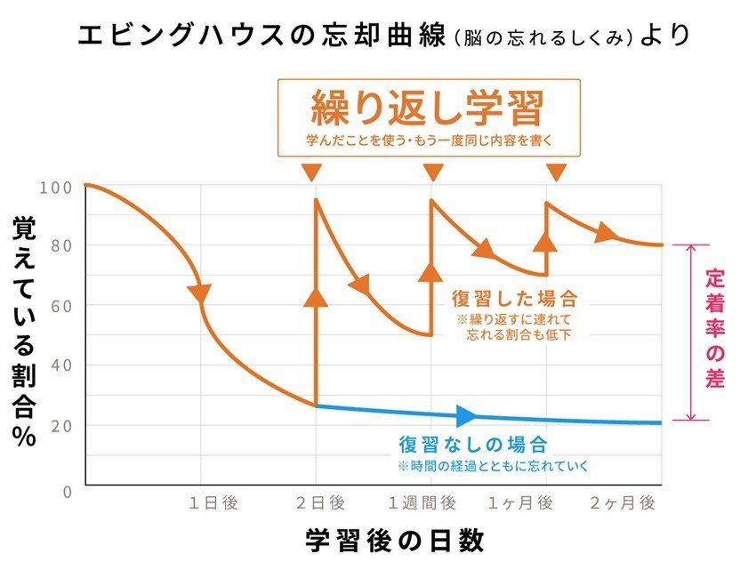 英会話を数字と科学で見てみましょう