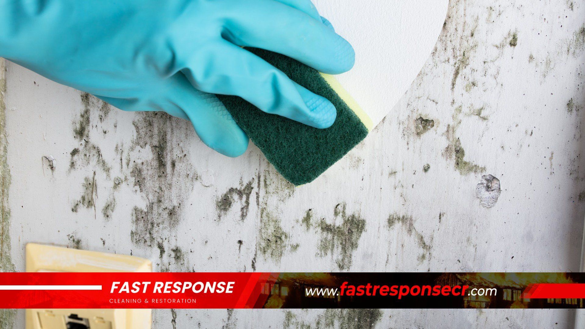 Black Mold Removal In Talahi  Island, GA