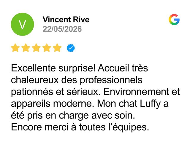 Avis Google faisant l'éloge d'une clinique vétérinaire chaleureuse et professionnelle ; 5 étoiles, mentionnant les soins prodigués à un chat.