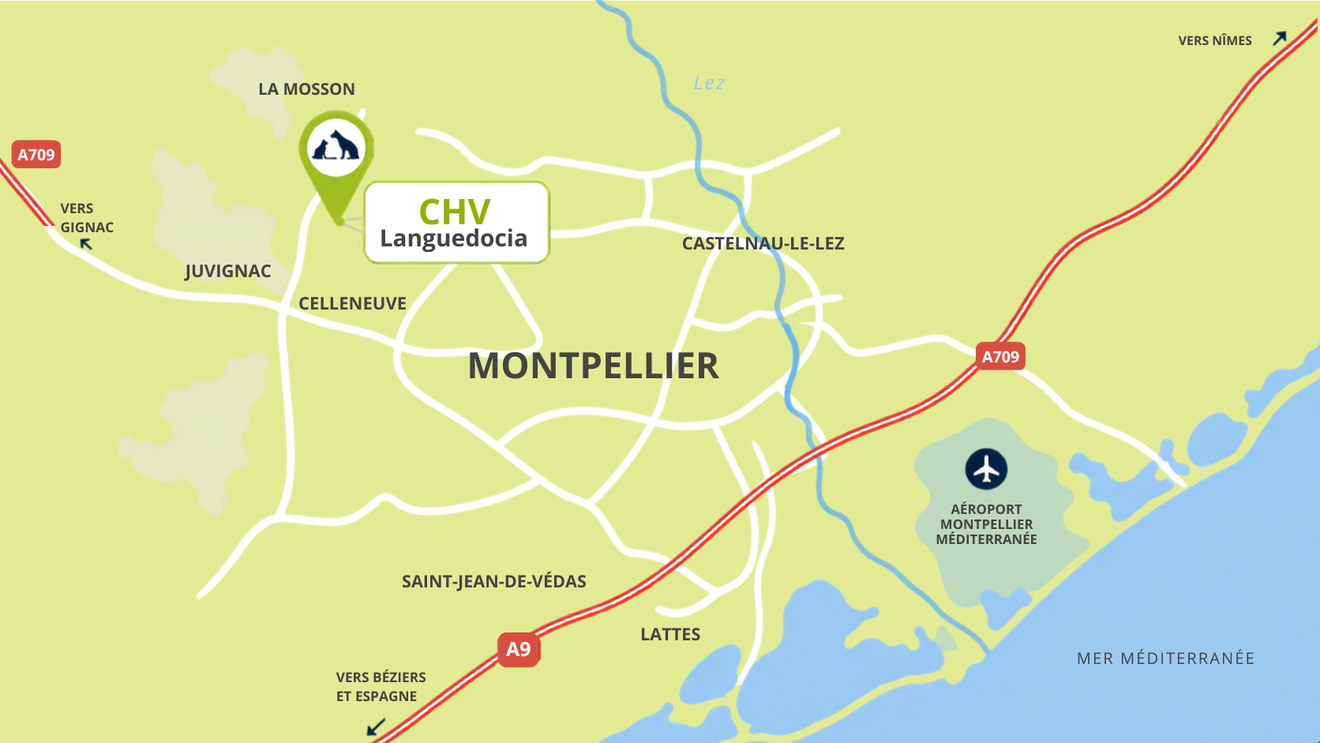 Carte de Montpellier et de la côte environnante avec un marqueur de localisation CHU mis en évidence en bleu.