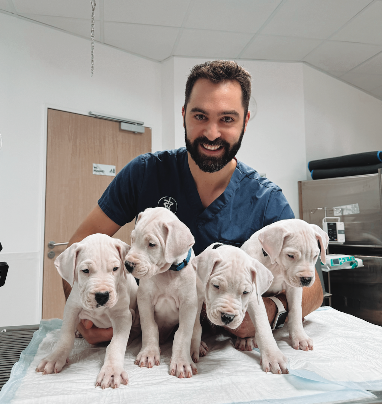 Un homme sourit derrière quatre chiots couleur crème sur une table dans une clinique vétérinaire lumineuse