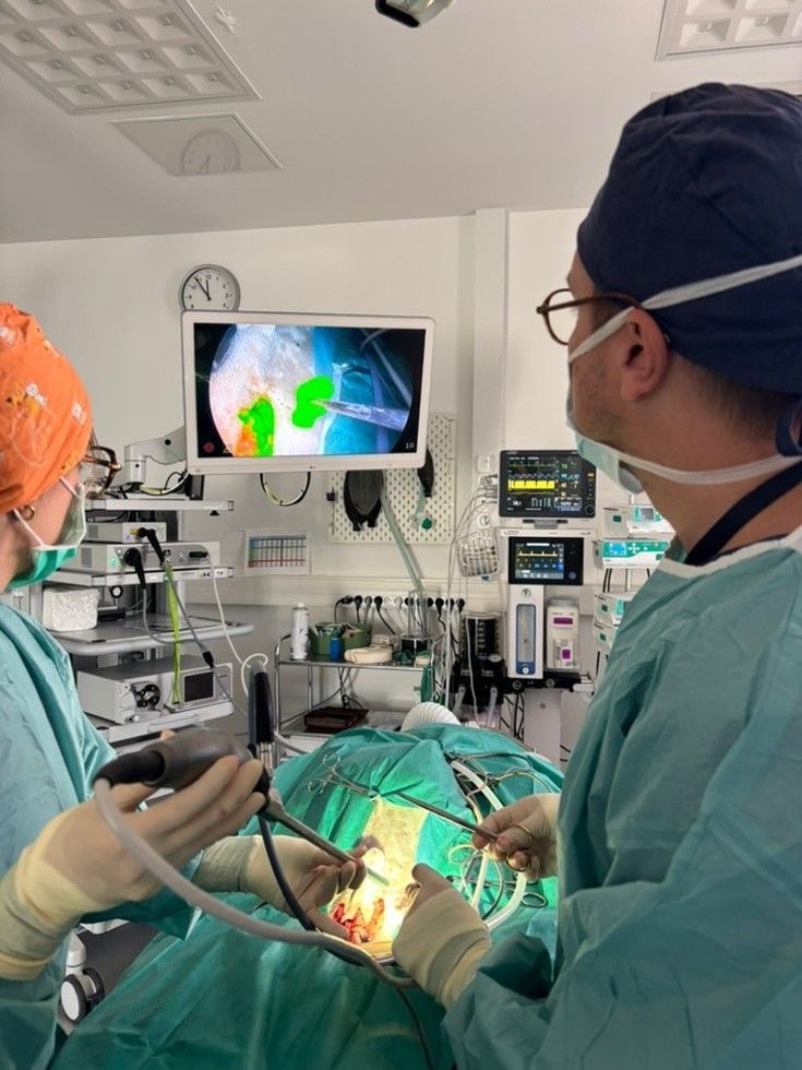 Des chirurgiens opèrent dans une salle d'opération éclairée tandis qu'un écran affiche une image médicale en couleur.