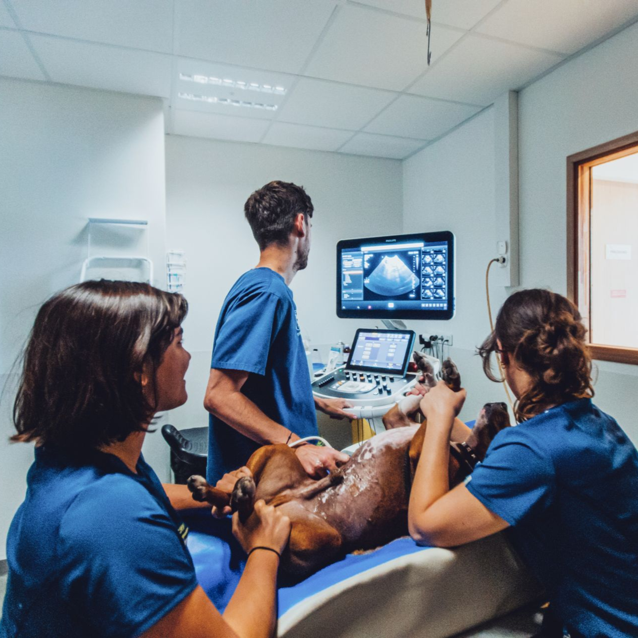 Une équipe médicale effectue une échographie sur un patient dans une salle de consultation.