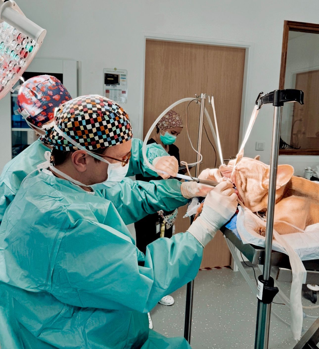 Des dentistes en blouse verte et masques travaillent sur un patient dans une clinique dentaire.