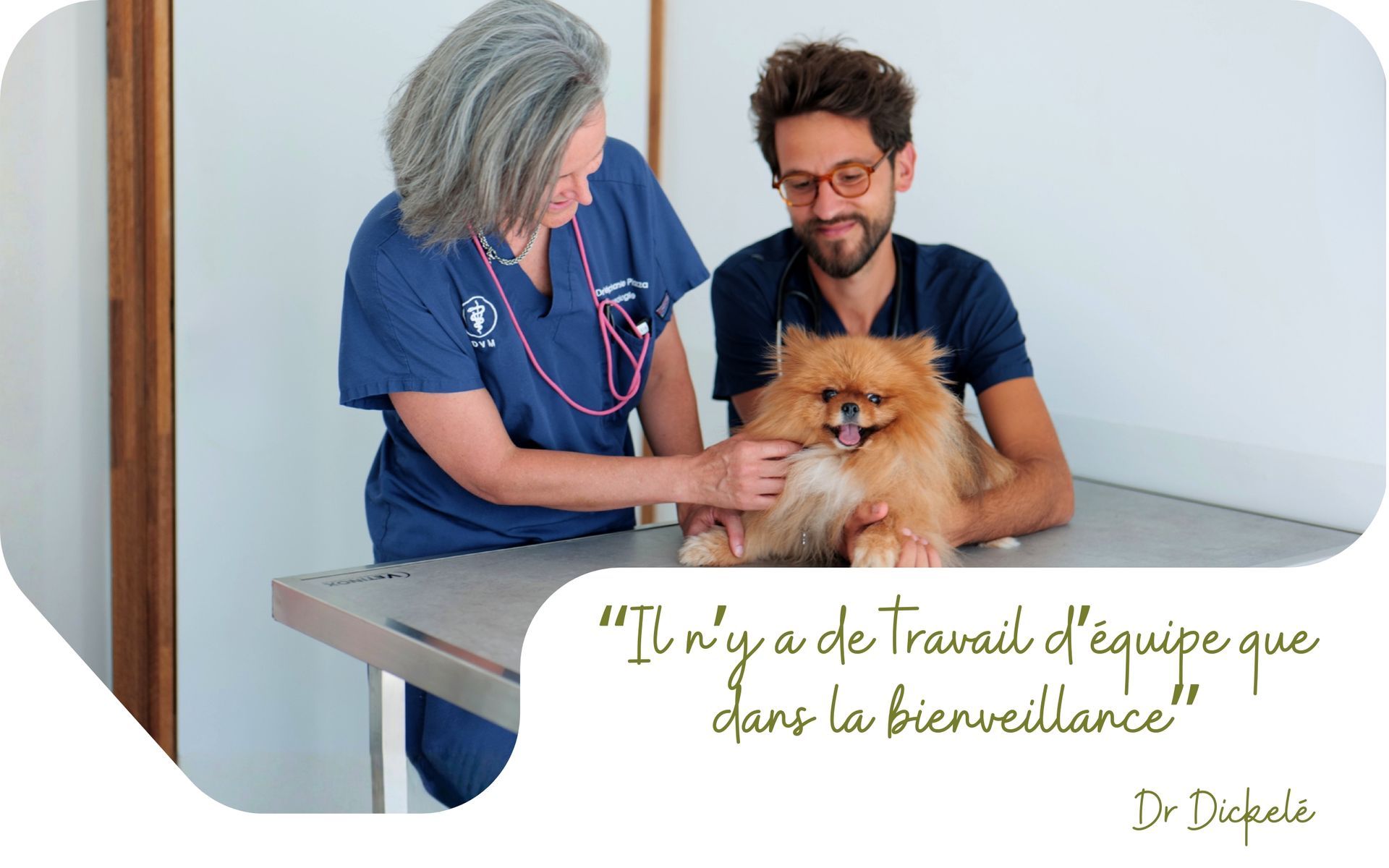 Un vétérinaire et un homme examinent un petit chien duveteux dans une clinique, avec du texte français en surimpression.