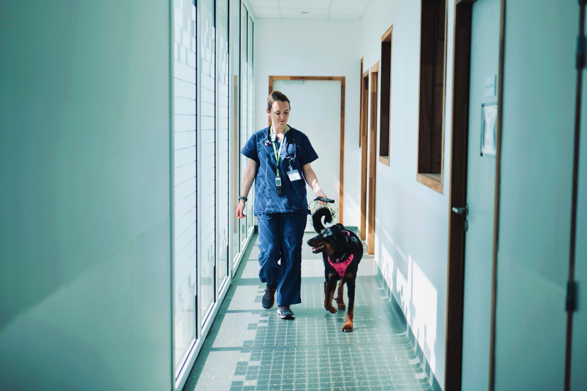 Une personne promène un chien noir en laisse dans un couloir lumineux.