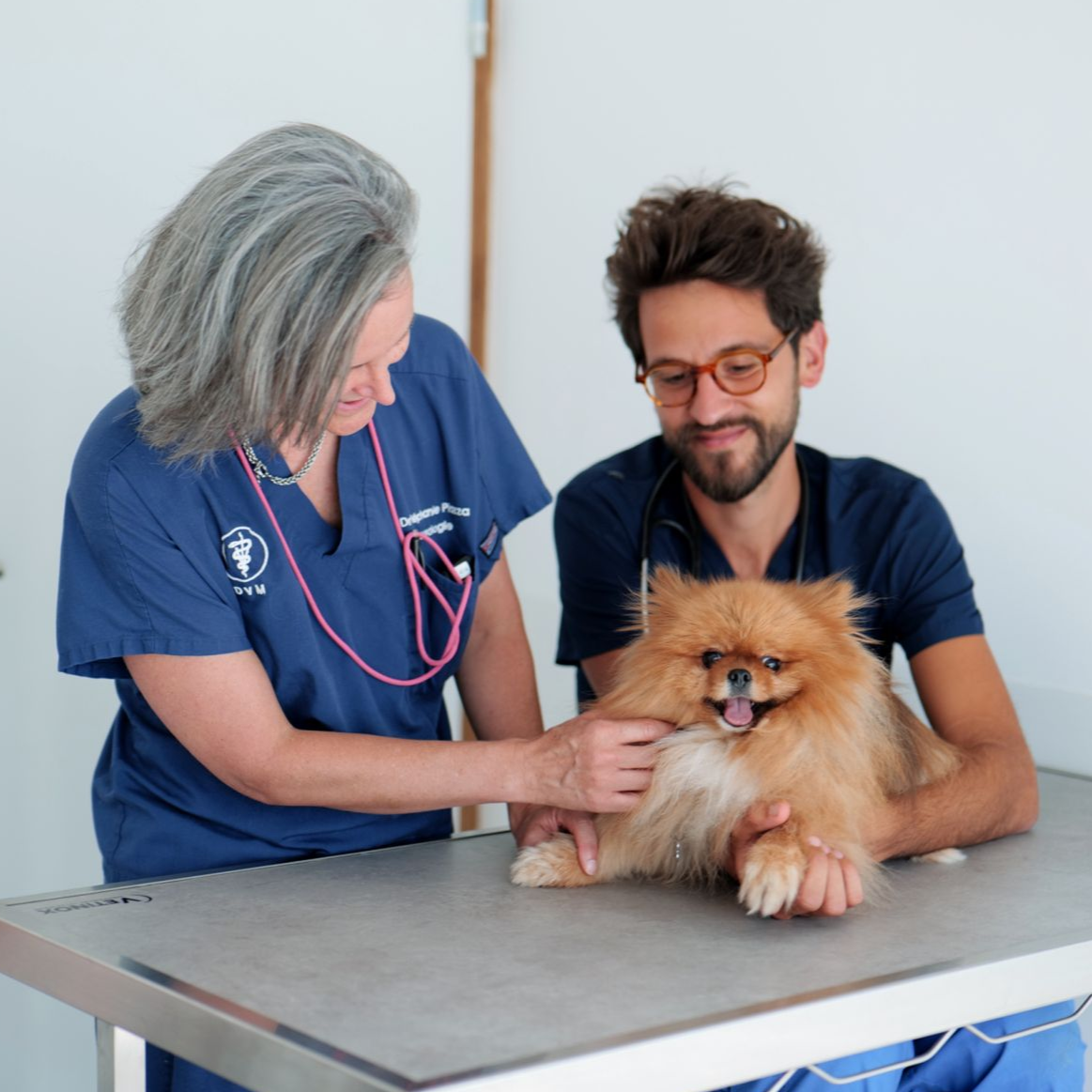 Un vétérinaire examine un chien orange à poil long sur une table de consultation, un assistant à proximité.