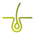 Un dessin au trait d'un follicule pileux avec une goutte d'eau qui en sort.
