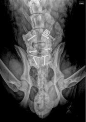 Radiographie numérique Montpellier