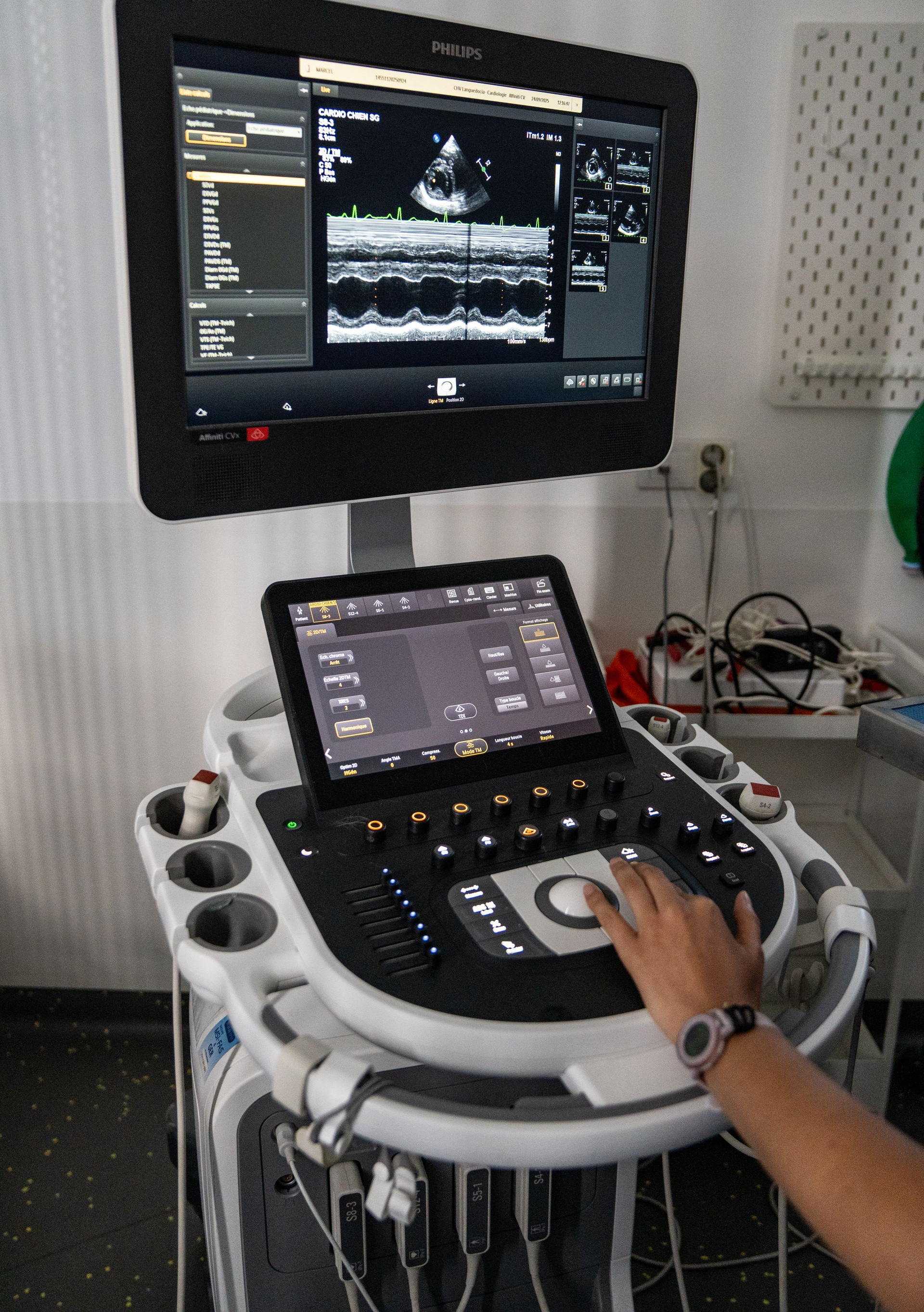 Cardiologie vétérinaire