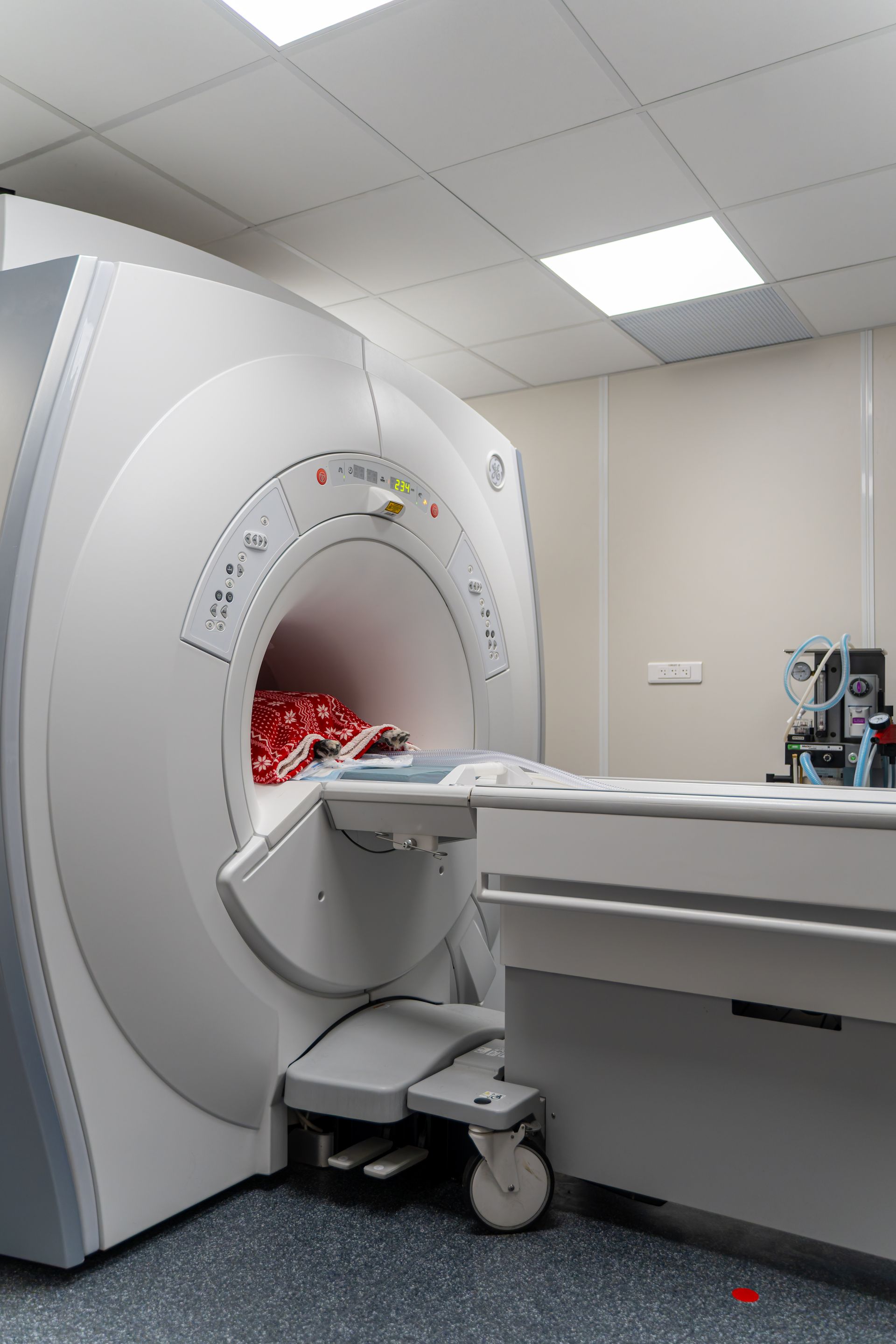 Patient sur une civière entrant dans un grand appareil d'IRM dans une chambre d'hôpital