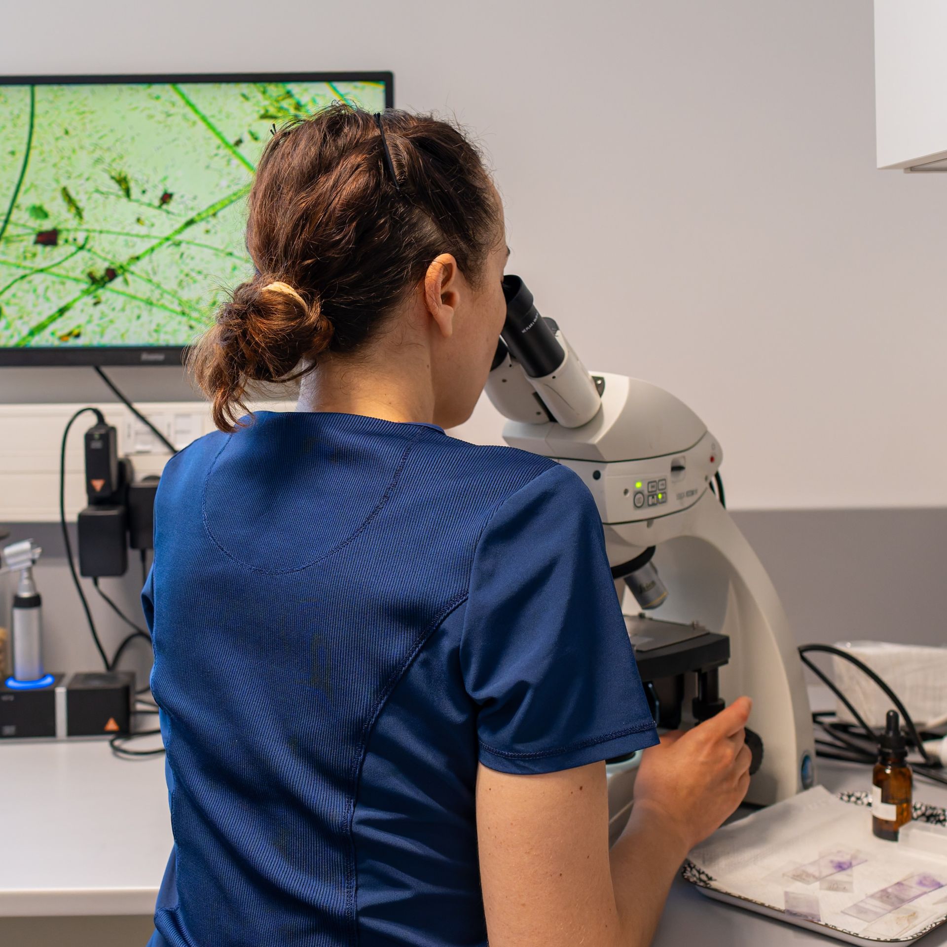 Dermatologie vétérinaire