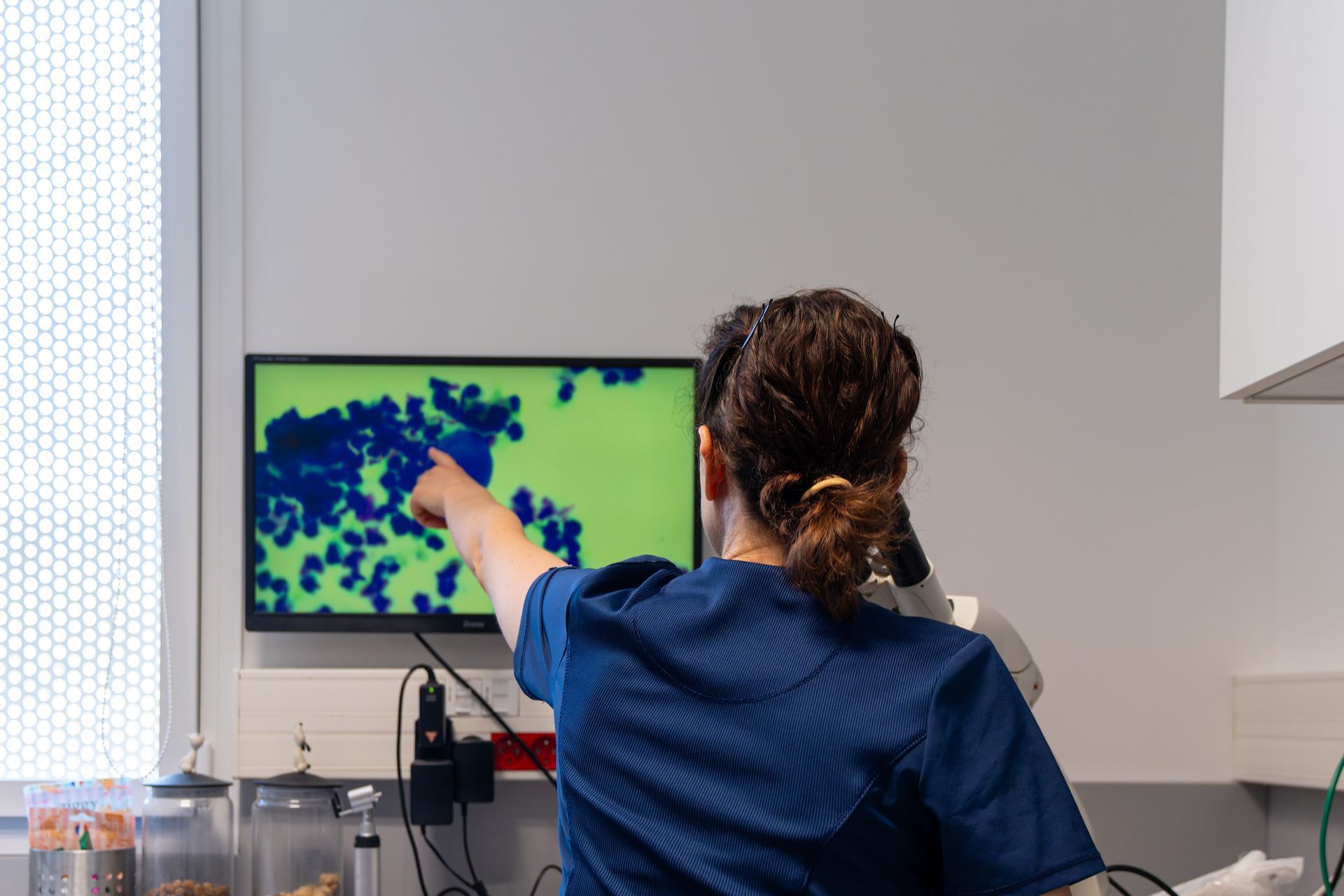 Consultation spécialisée en dermatologie vétérinaire