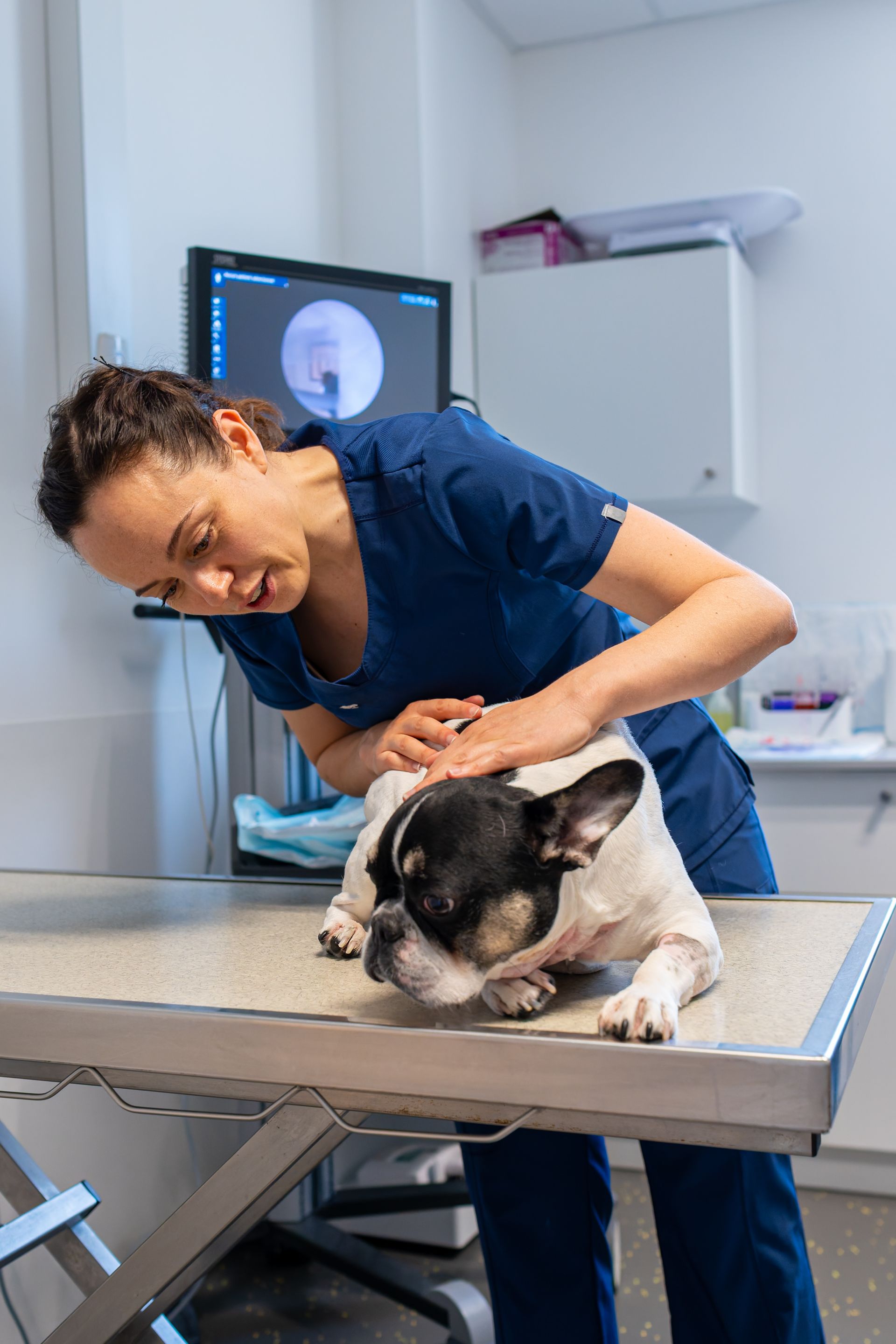 Dermatologie vétérinaire 