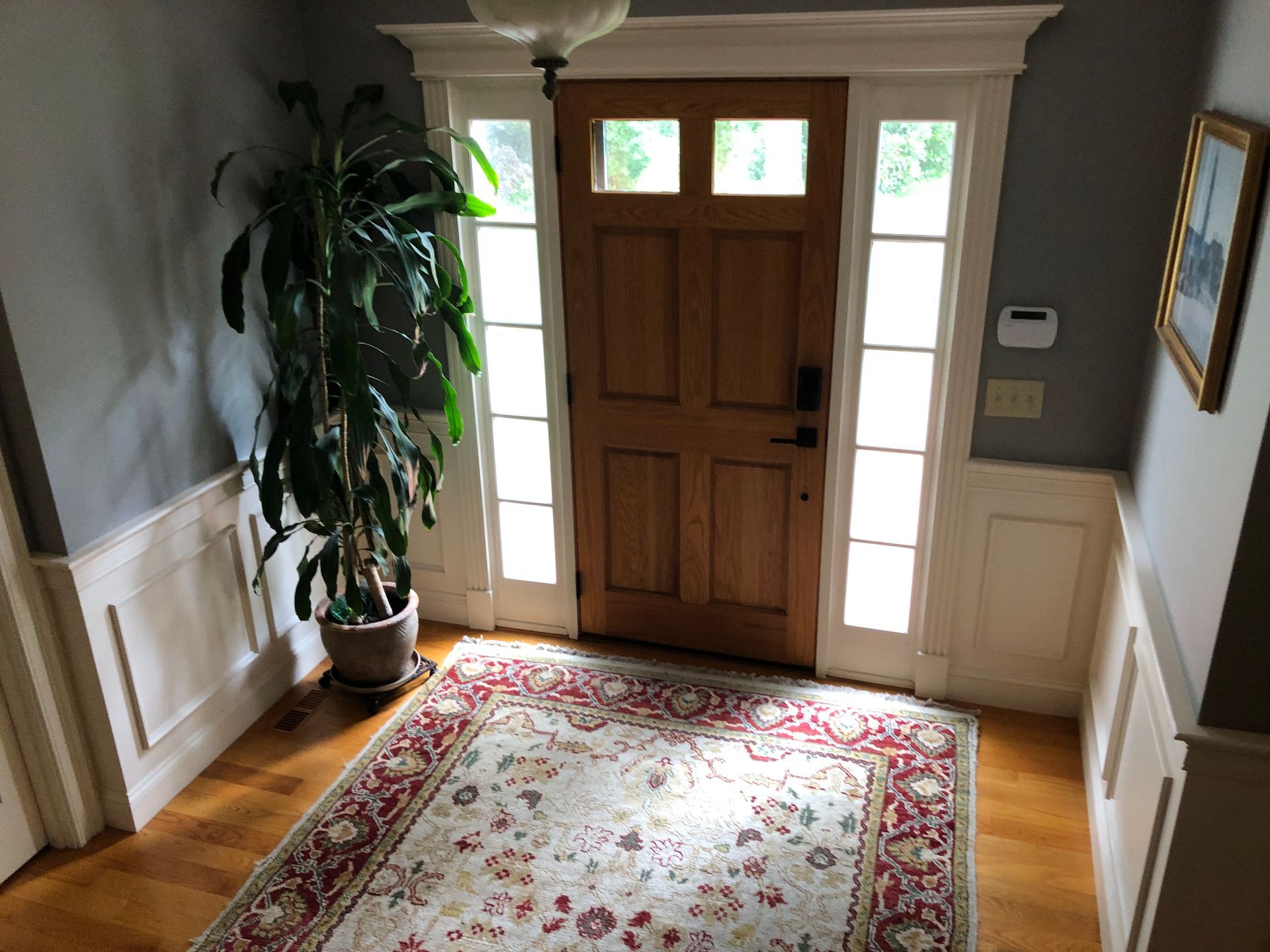 Entryway with wooden front door, white trim, potted plant, and red floral rug.
