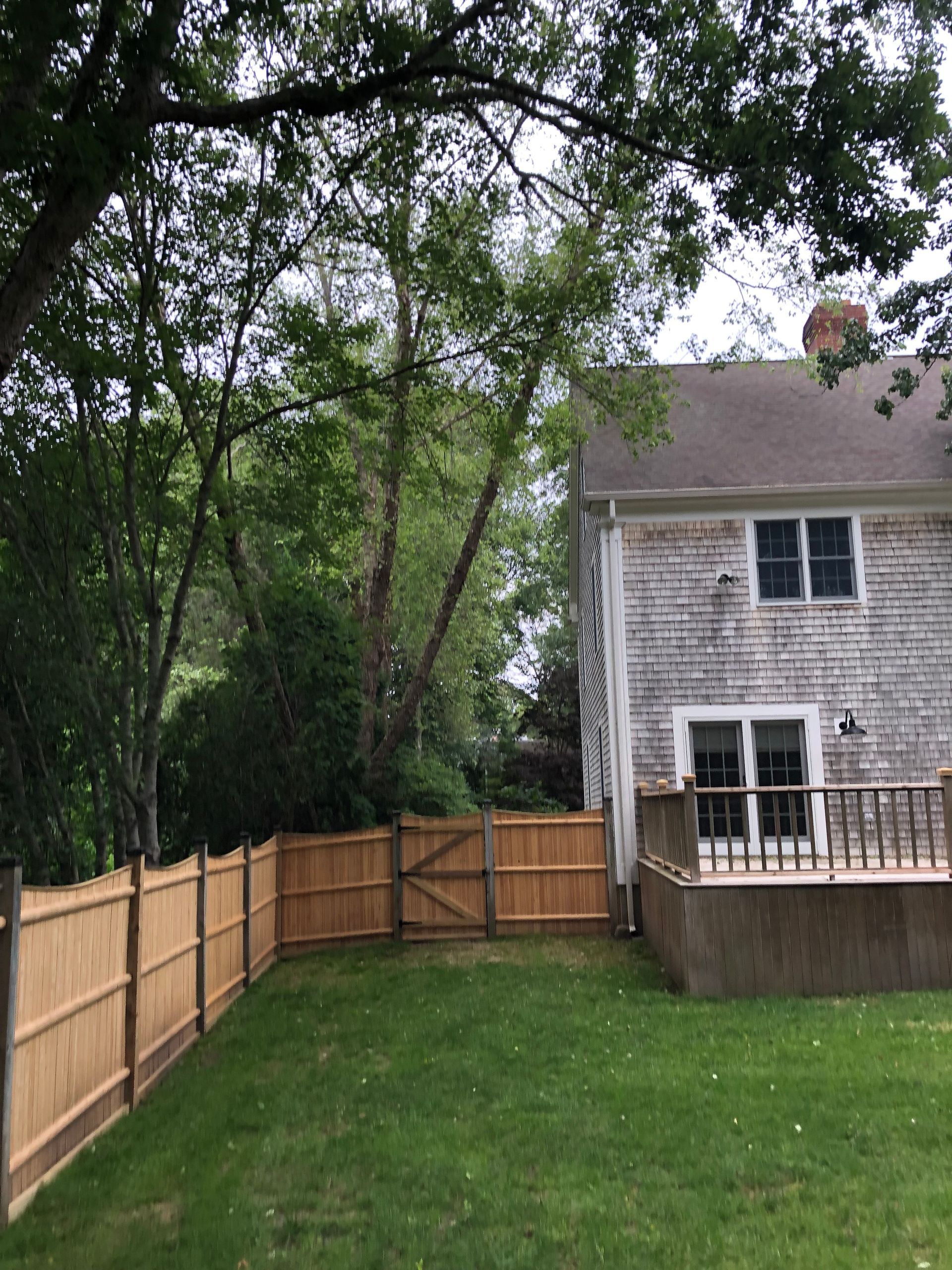 Backyard with green lawn, wooden fence, and two-story house beside trees