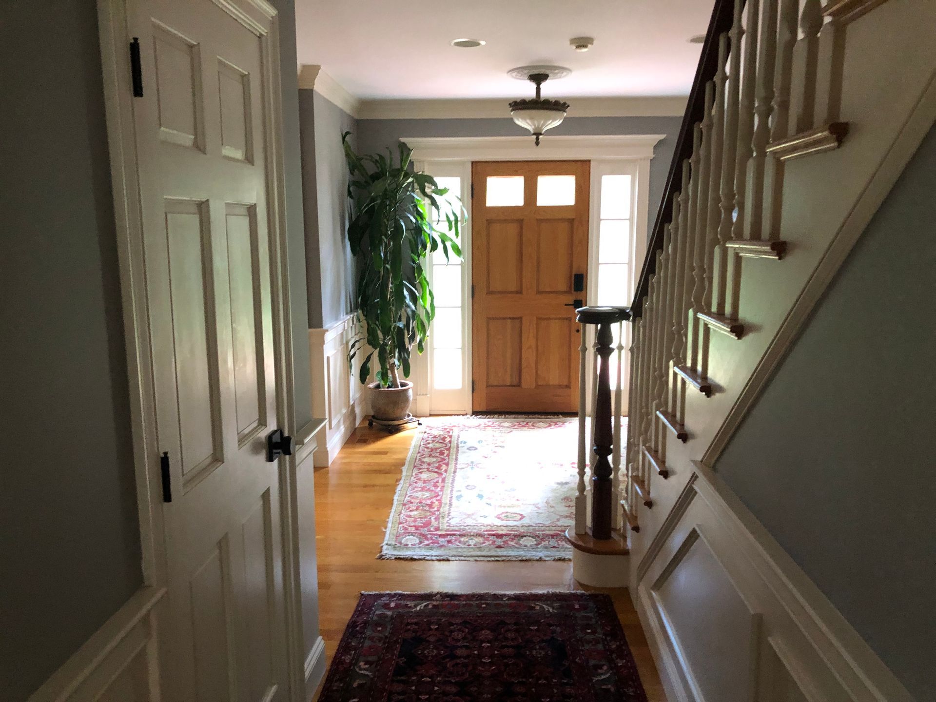 Front hallway with staircase, wooden front door, rugs, and a potted plant.
