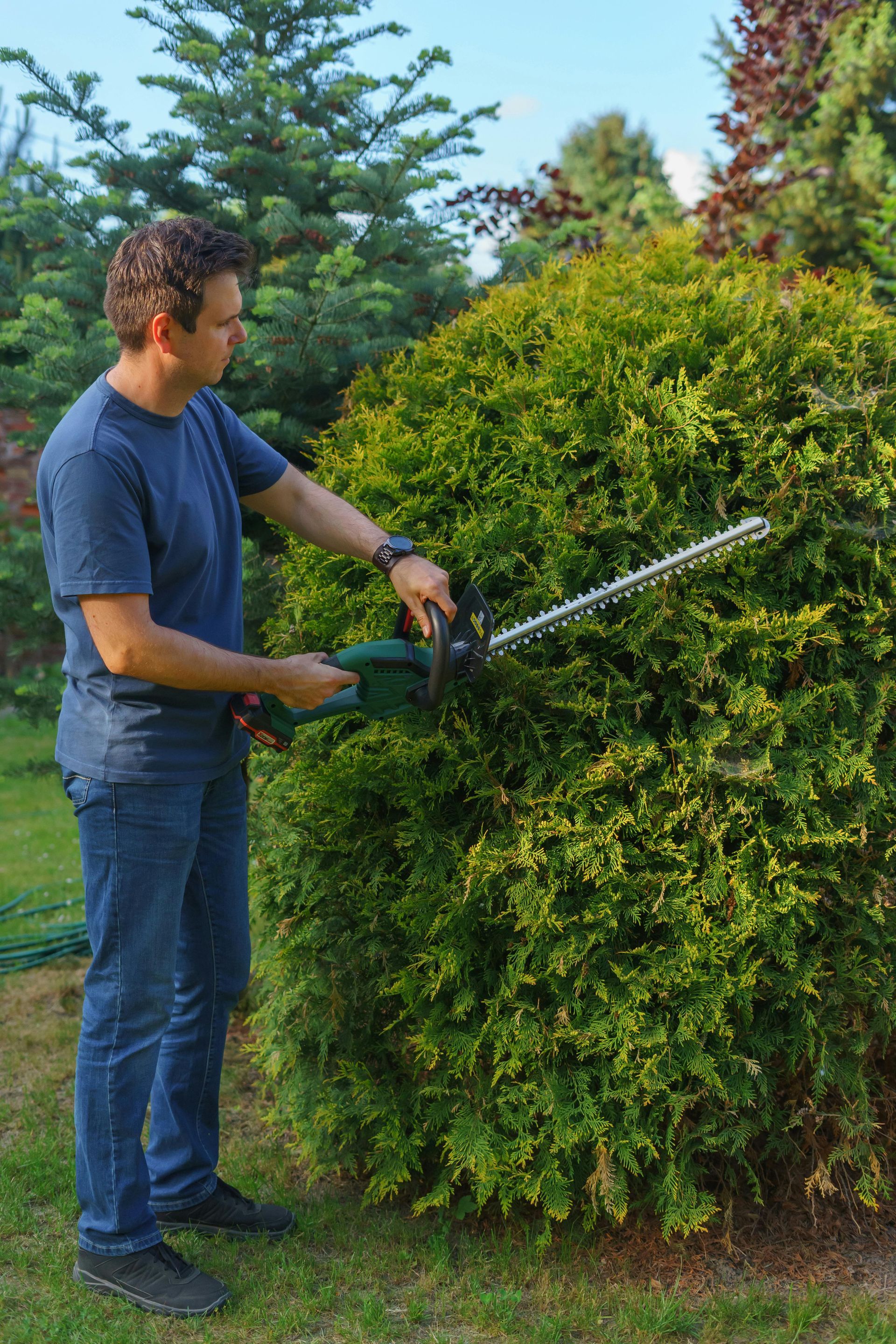 Man trimming a green bush with a hedge trimmer in a garden on a sunny day.