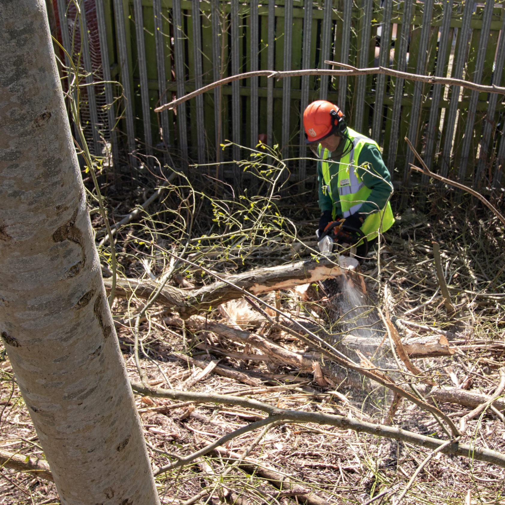 Man using a chainsaw
