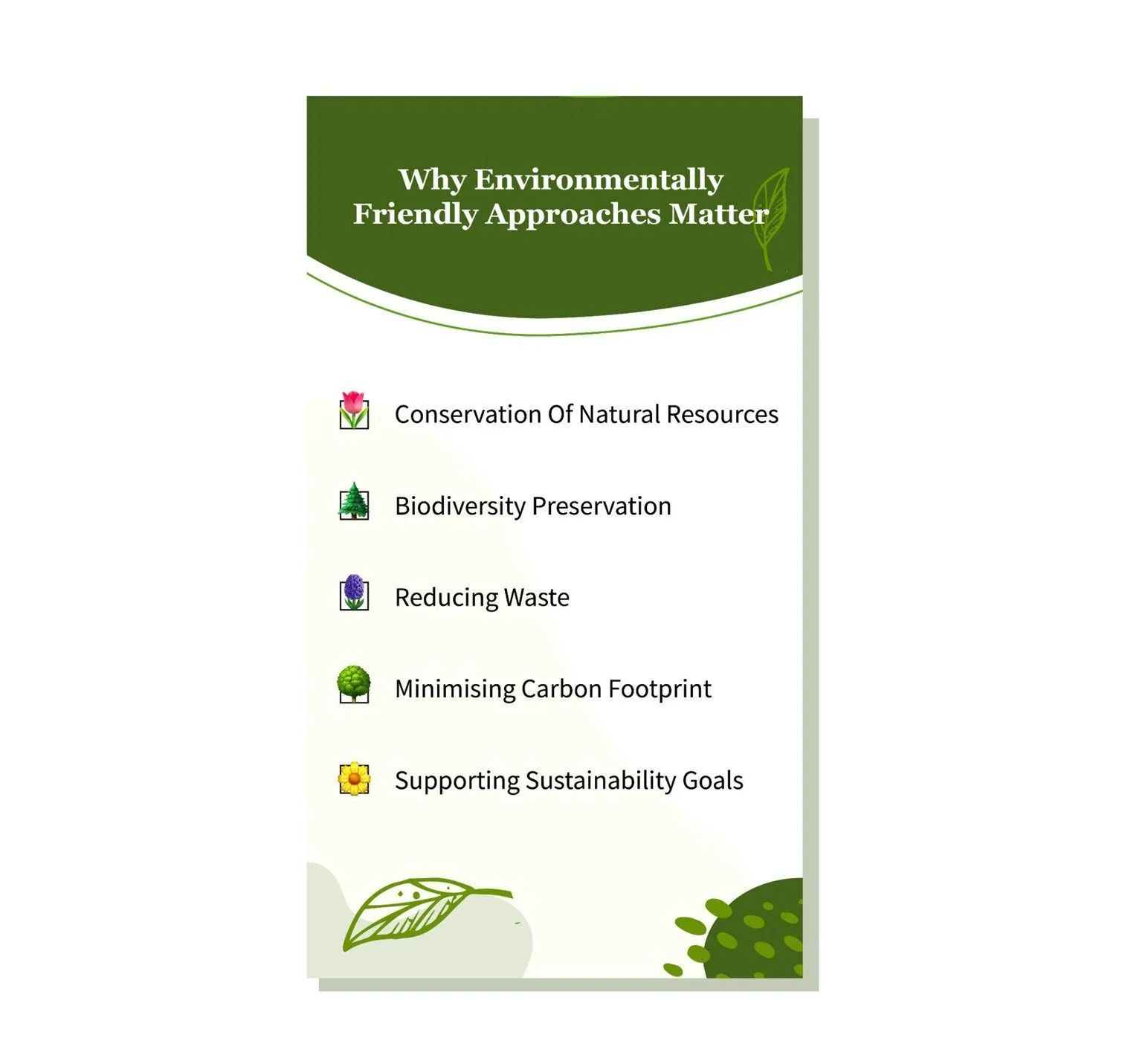 Infographic on environmentally friendly approaches, covering conservation, biodiversity, and sustainability