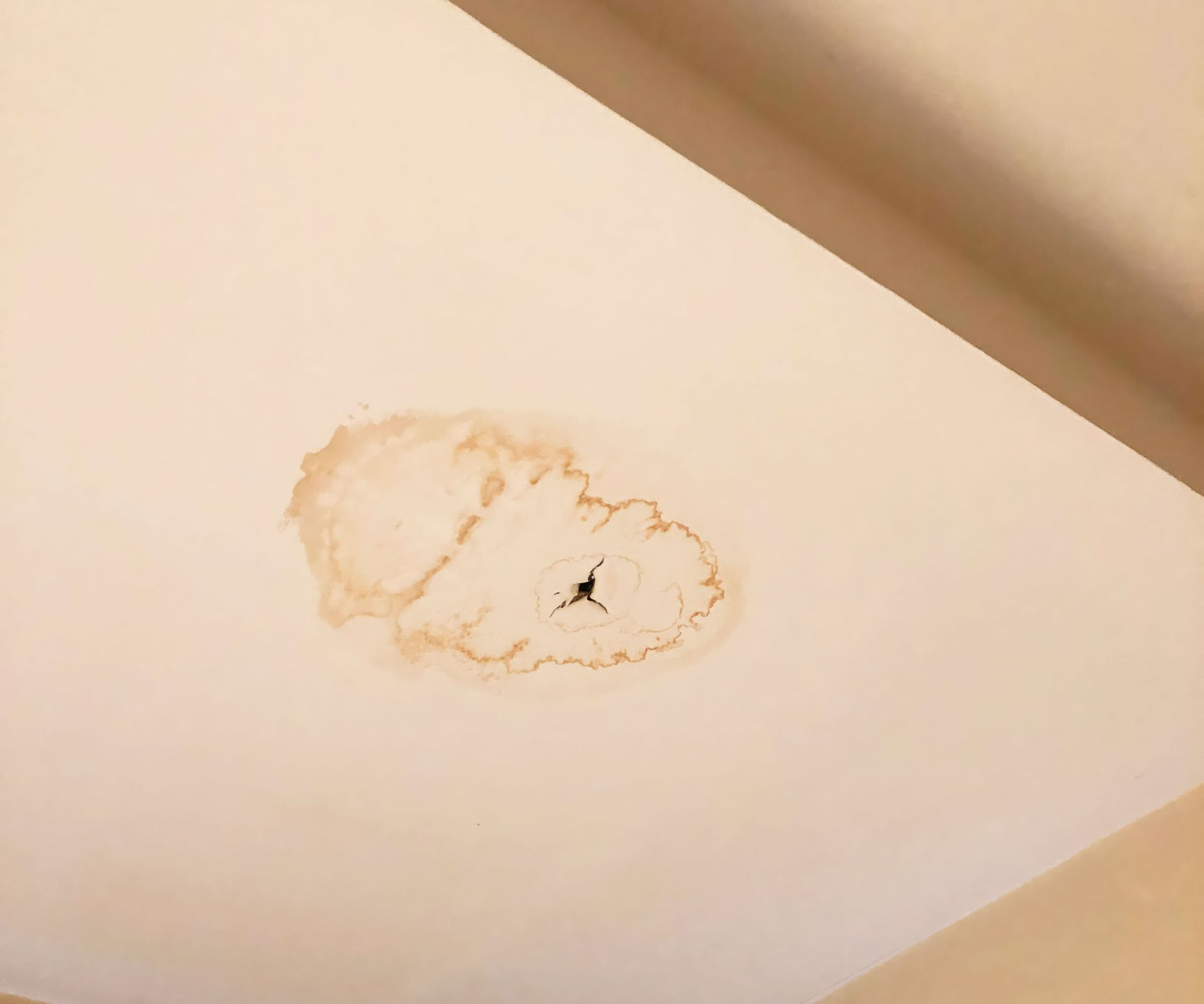 Wet Ceiling Leak and Repairs Mount Barker and Adelaide Hills