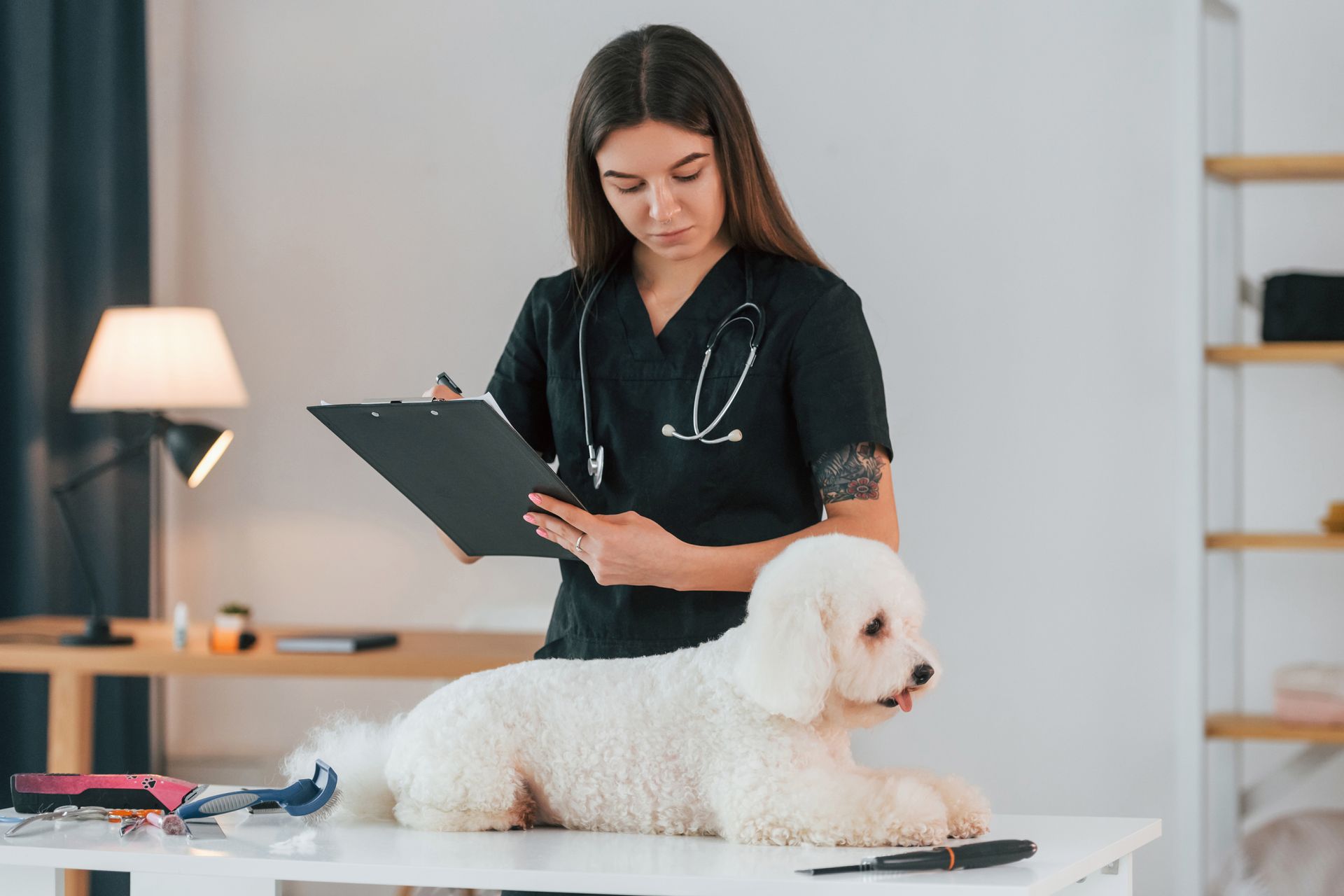 Una veterinaria sta esaminando un cagnolino bianco su un tavolo.