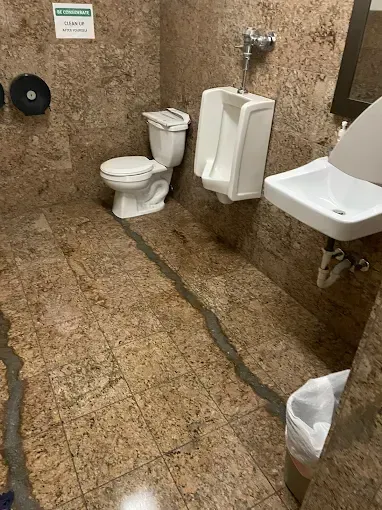 Accessible restroom with toilet, urinal, sink, and grab bars on a brown speckled floor and walls