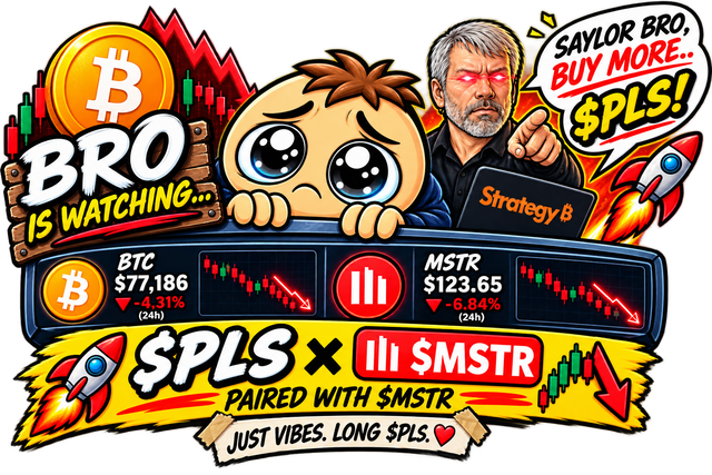 BRO PLS paired with tokenized $MSTR on Robinhood Chain