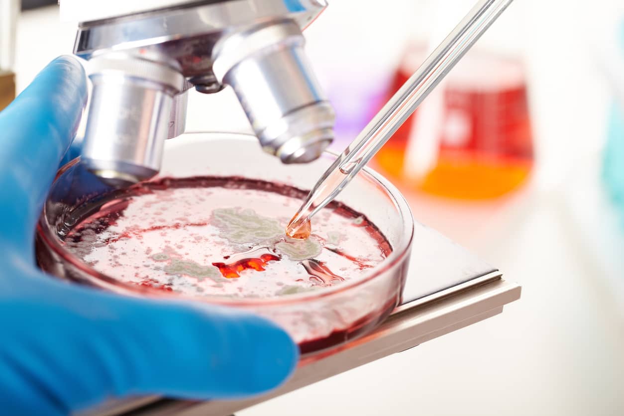 Quick Mold Labs Mold Inspection in Doral FL