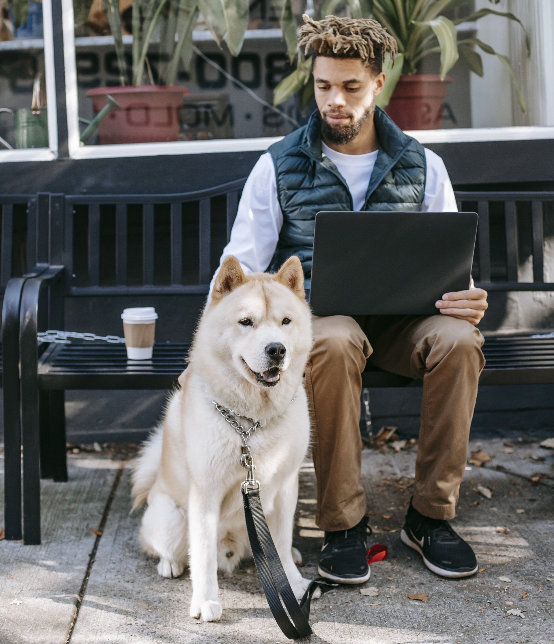 virtual office dog walker