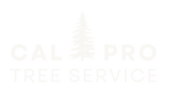 Cal Pro Tree Service Cal Pro Tree Service