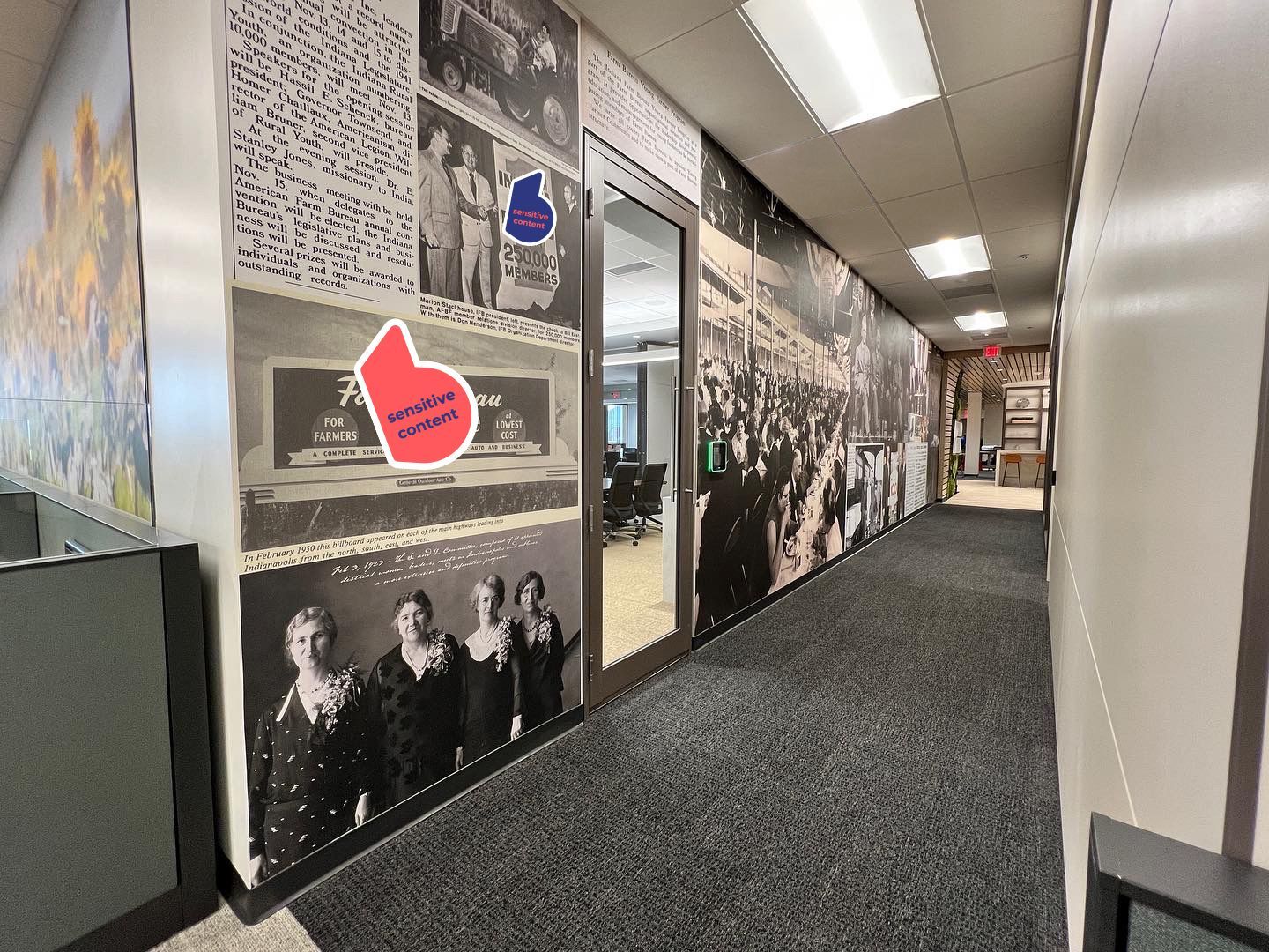 Custom-Wall-Display-mural