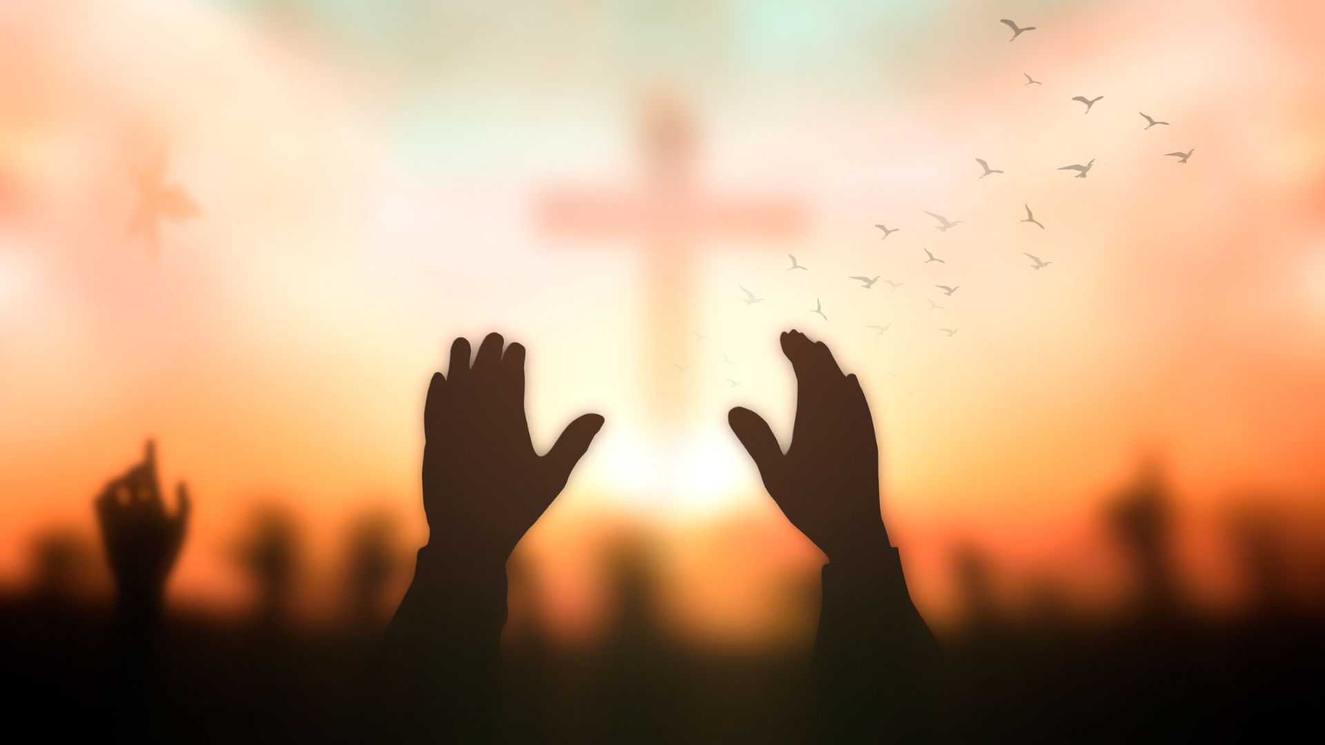 Silhouetted hands raised in prayer against a glowing sunset with a cross in the background