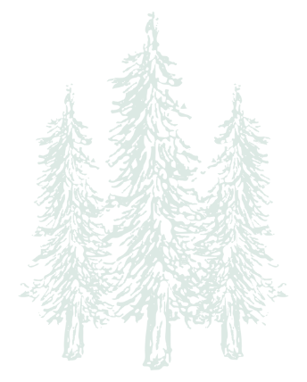 A drawing of three pine trees on a white background.