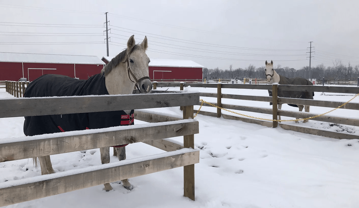 Ironwood Equestrian Center