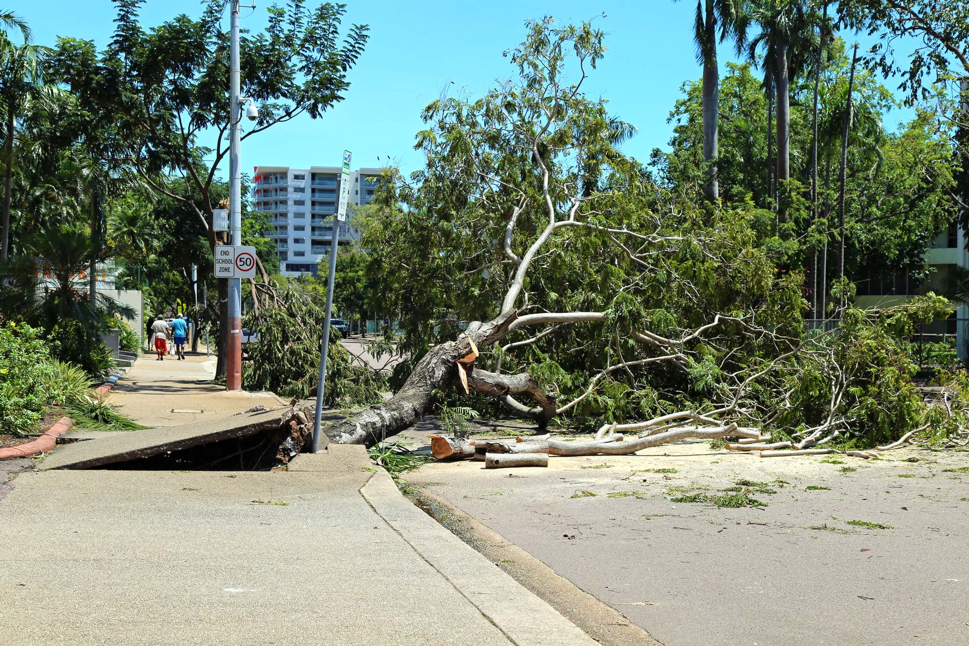 Emergency Storm Damage — Littleton, CO — Tree Amigos Colorado