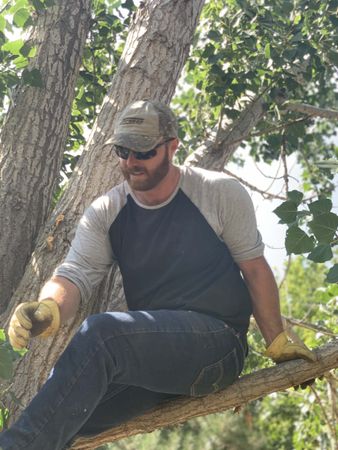 Nick Holley — Littleton, CO — Tree Amigos Colorado Nick Holley — Littleton, CO — Tree Amigos Colorado