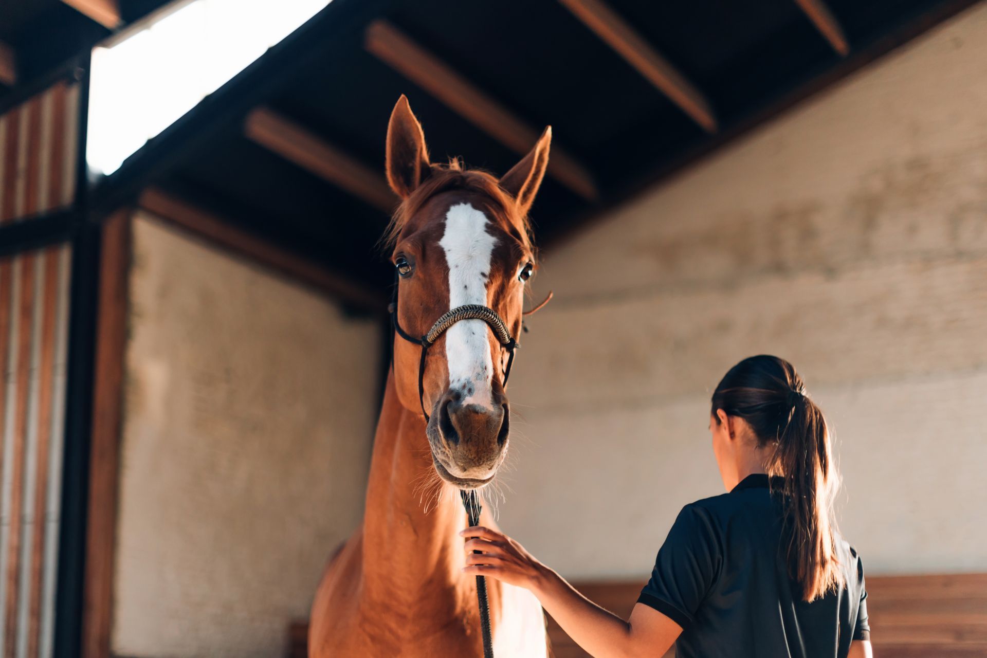 A woman is petting a brown horse in a stable.