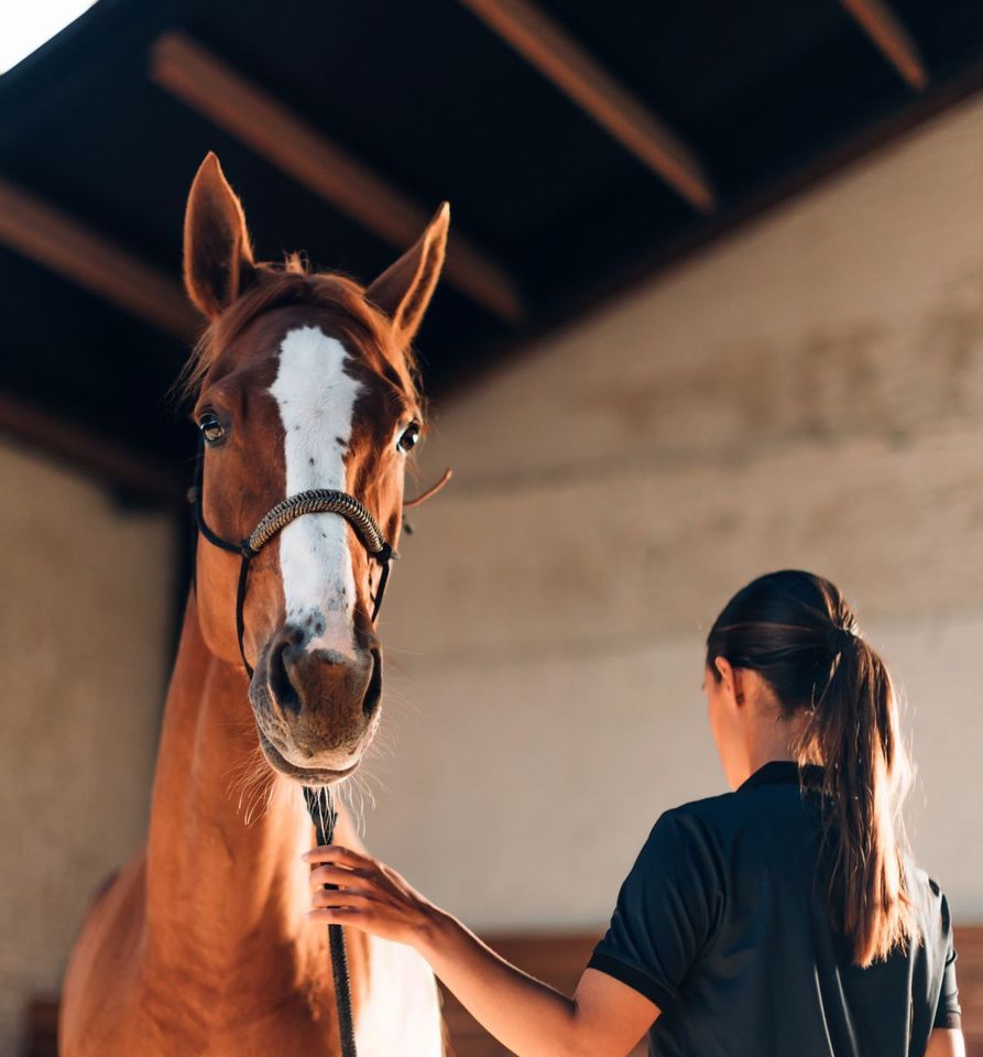 A woman standing next to a brown horse with a white spot on its face
