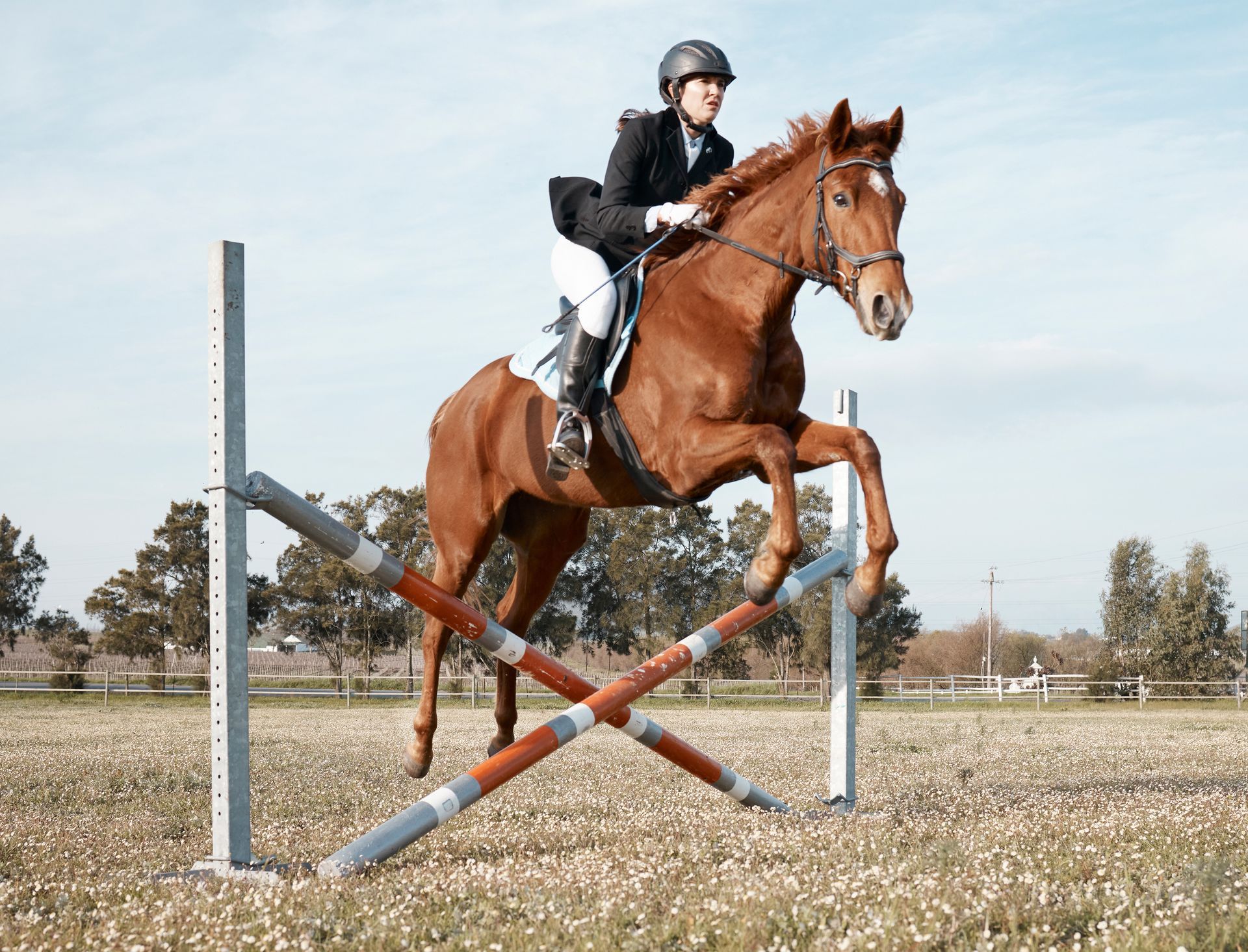 A person is riding a brown horse over a jump.