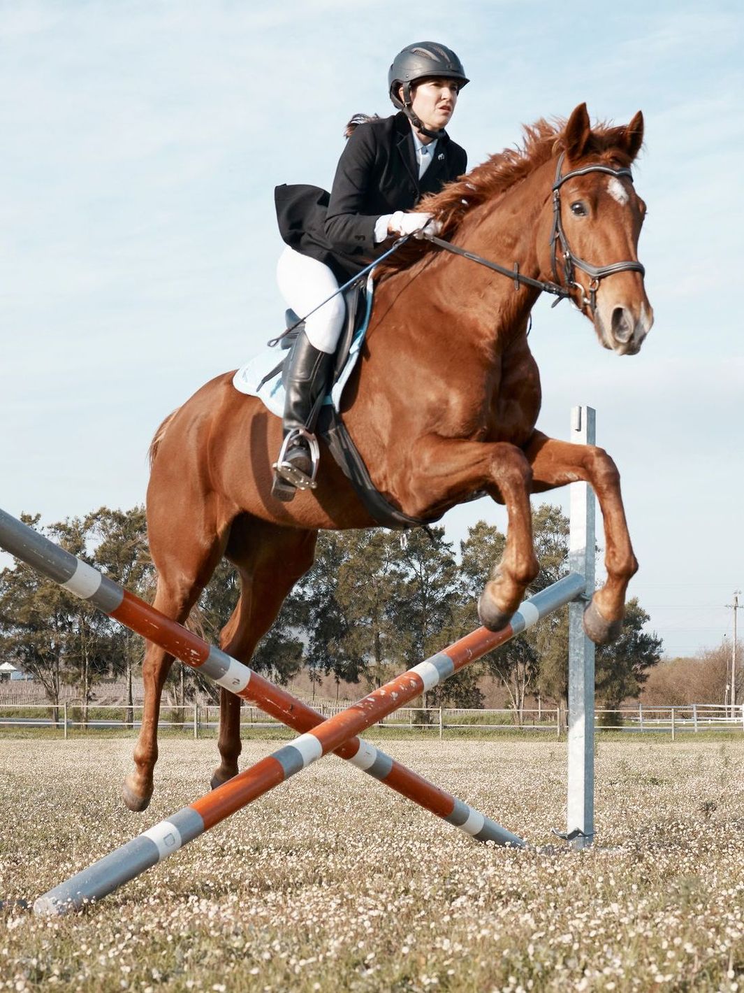 A woman is riding a brown horse over a hurdle
