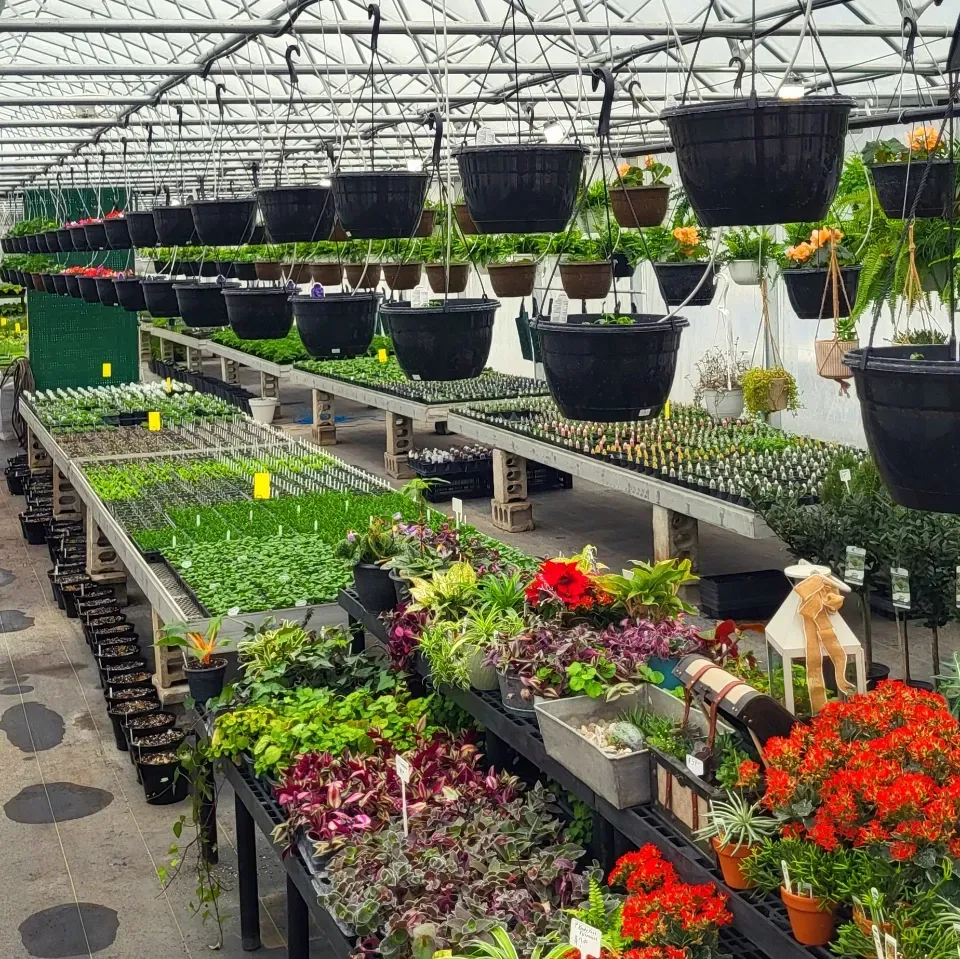 Lots of potted plants and flowers at The Petal Patch greenhouse in Fremont, OH