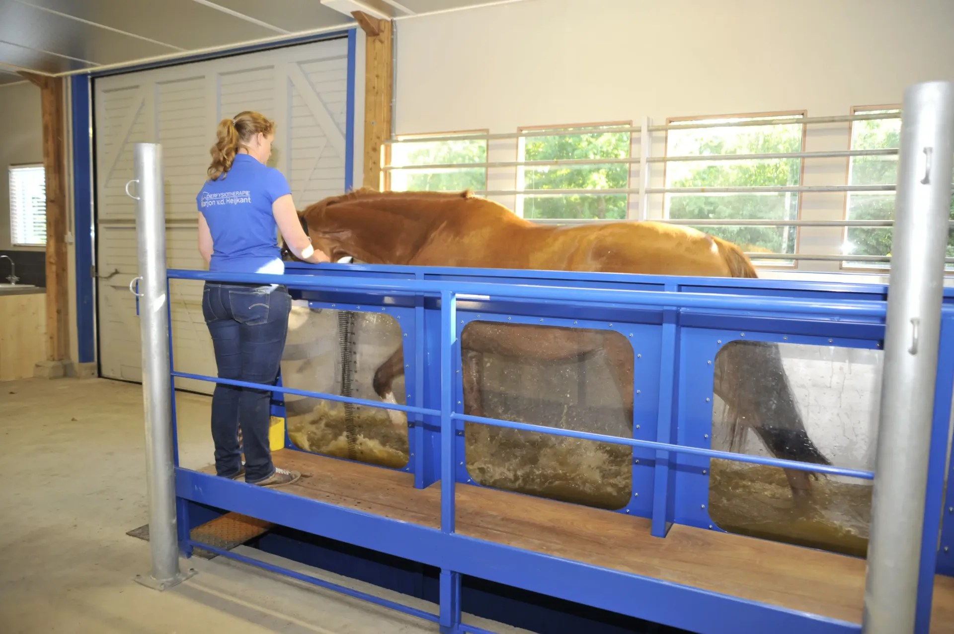 Paard traint in aquatrainer