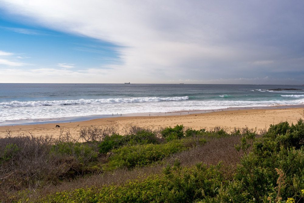 A Beach with A Lot of Trees and Bushes in The Foreground and A Large Body of Water in The Background — Glass in Bulli, NSW