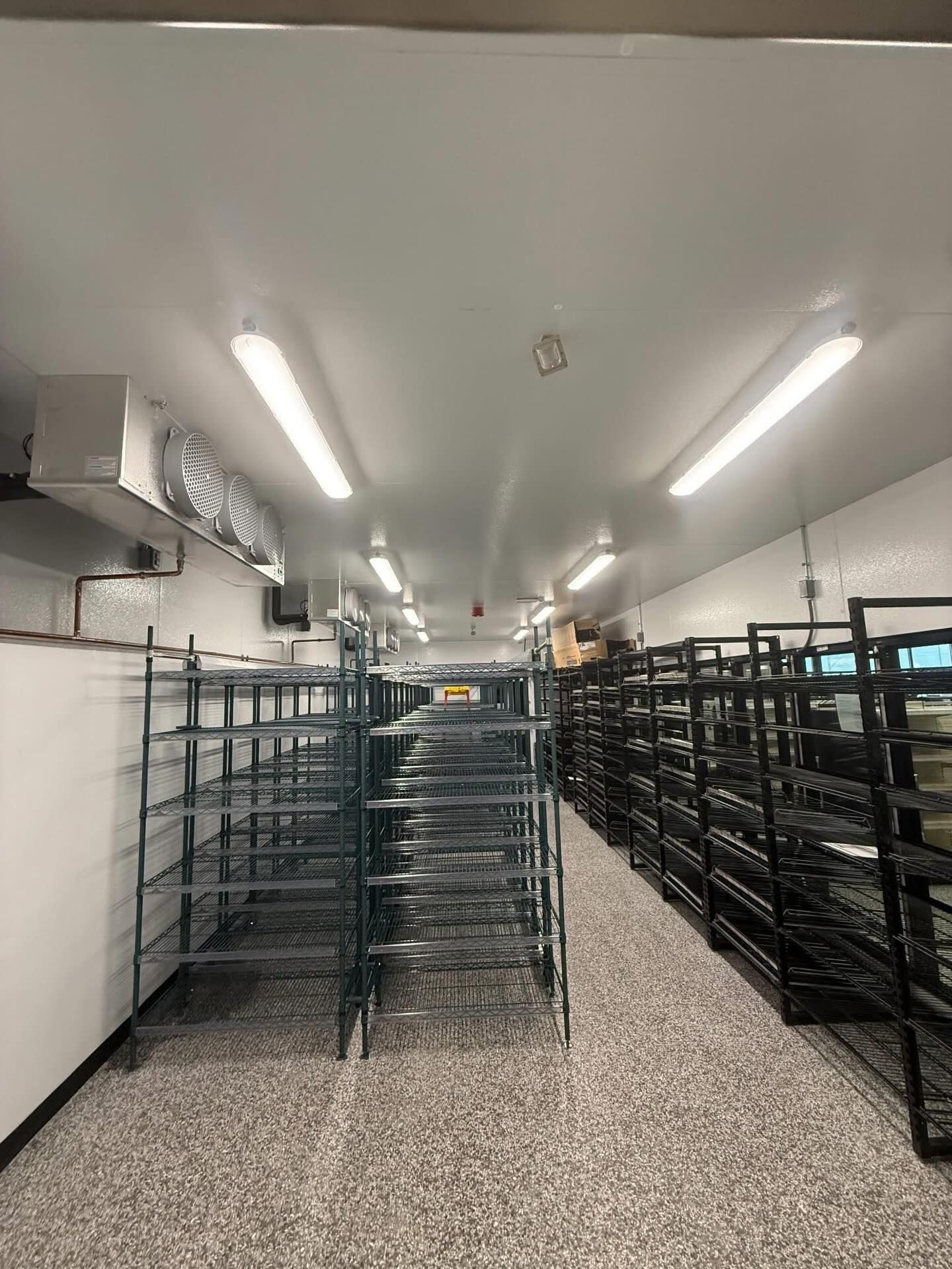 Empty industrial room with rows of black metal shelving and bright ceiling lights