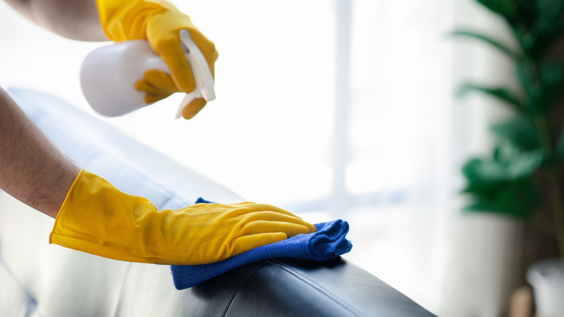Yellow-gloved hands spraying cleaner and wiping a black sofa with a blue cloth.