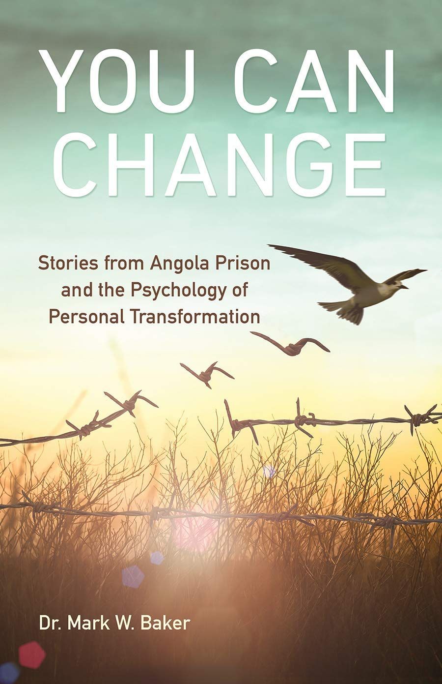 Book cover reading “You Can Change,” with birds flying over a sunrise sky and tree silhouettes