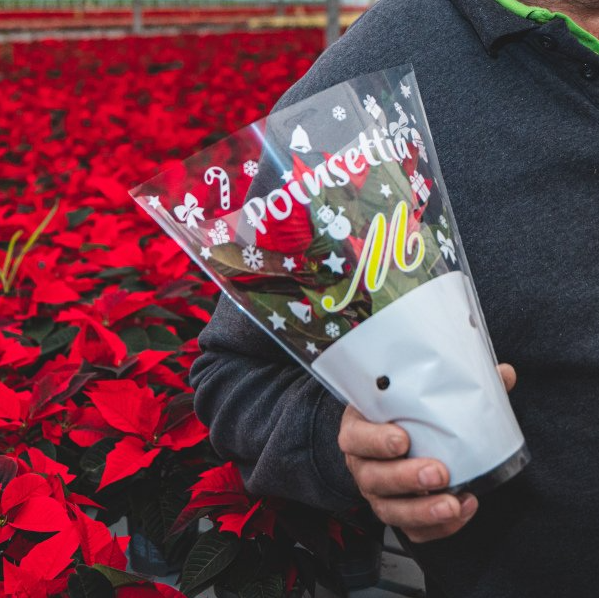 JBB packaging portfolio