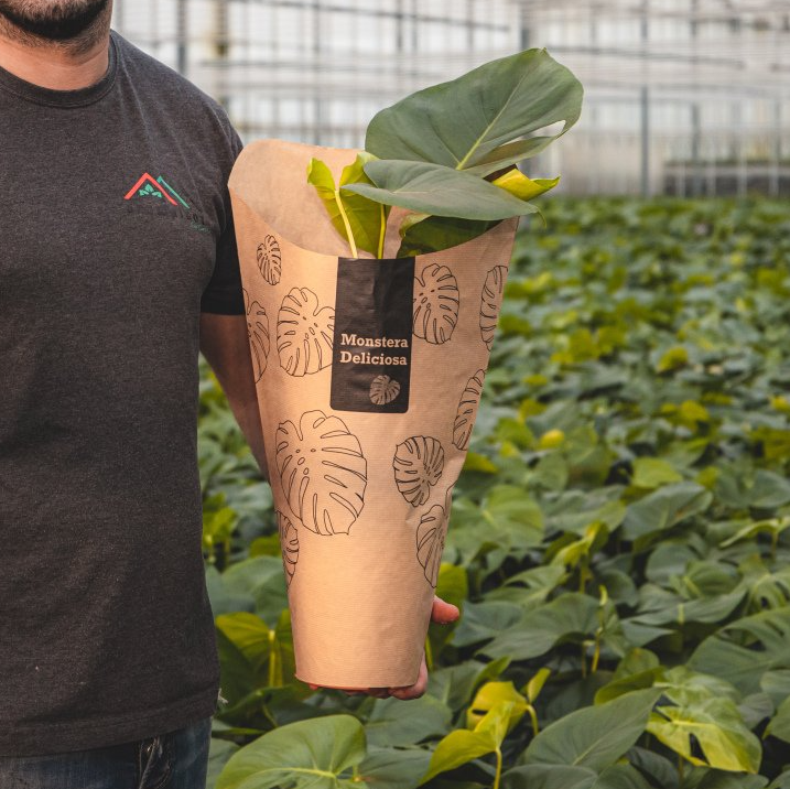 JBB packaging portfolio